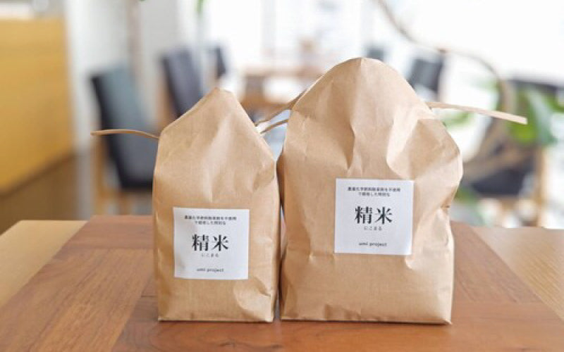 お米（自社栽培）