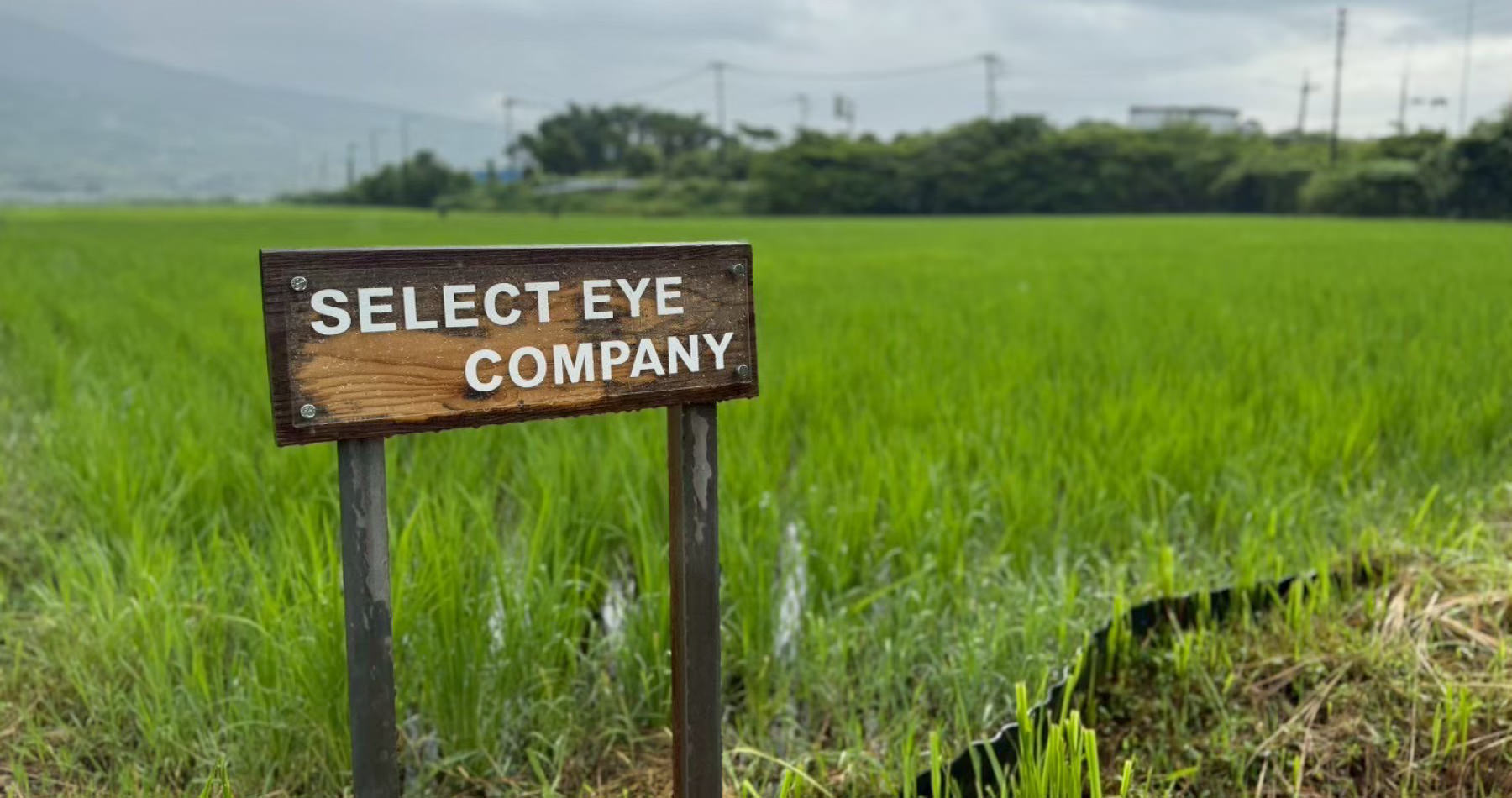 ページタイトル